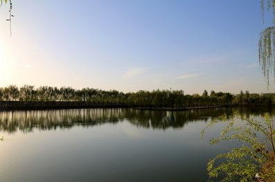 韦德环球体育在线登录使用方法