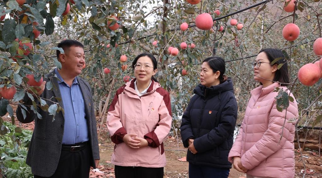 山东省科技专家